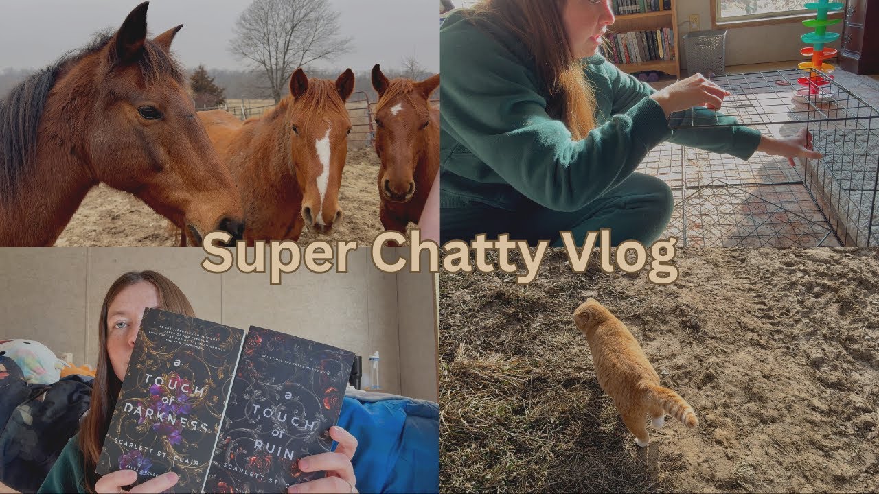 Super Chatty Vlog: Book Haul and Guinea Pig Cage Ideas