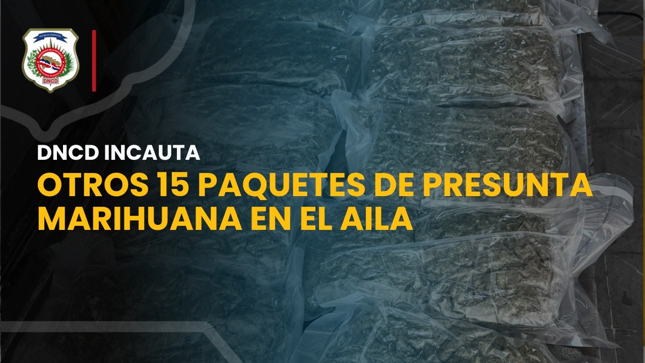 DNCD INCAUTA OTROS 15 PAQUETES DE PRESUNTA MARIHUANA EN EL AILA