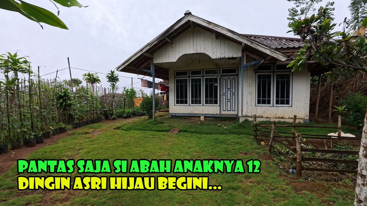 Hujan Rintik Rintik Dengan Hawa Dingin..WAH....Pantas Saja Si Abah Punya Anak 12.