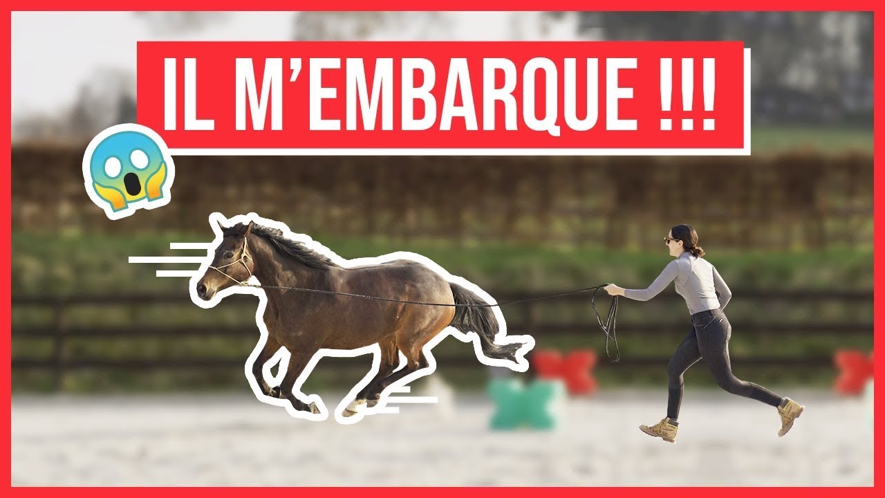 MON CHEVAL M’EMBARQUE : Que faire ?