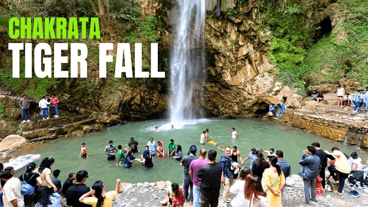 Tiger Fall | Chakrata | Highest Waterfall in India | Chakrata Hill Station #tigerfall #chakratatour