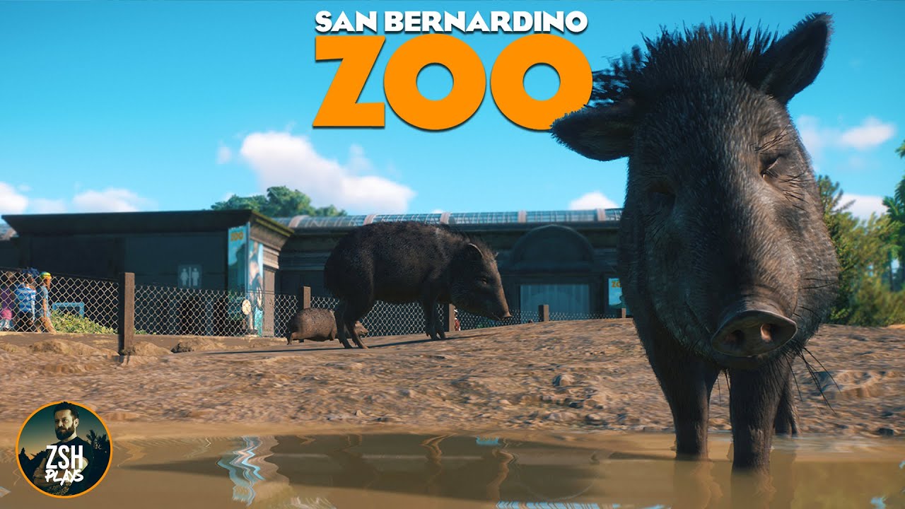 A Mudbath for Peccary in Franchise Mode! | San Bernardino Zoo | Planet Zoo