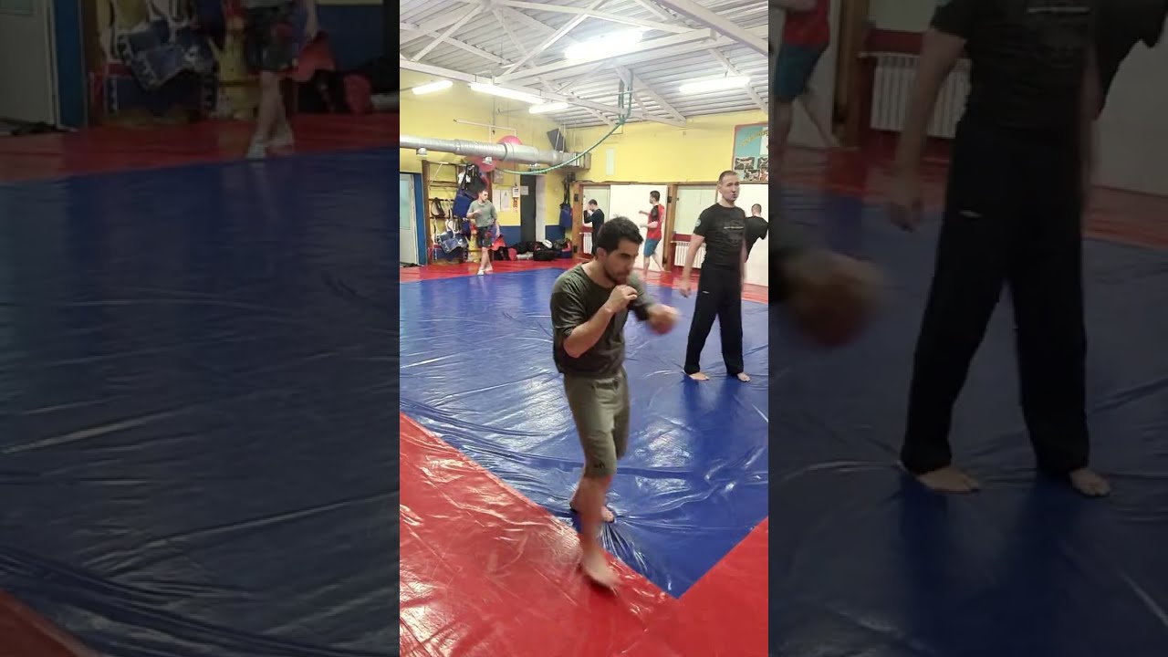 MMA Diary в прямом эфире!