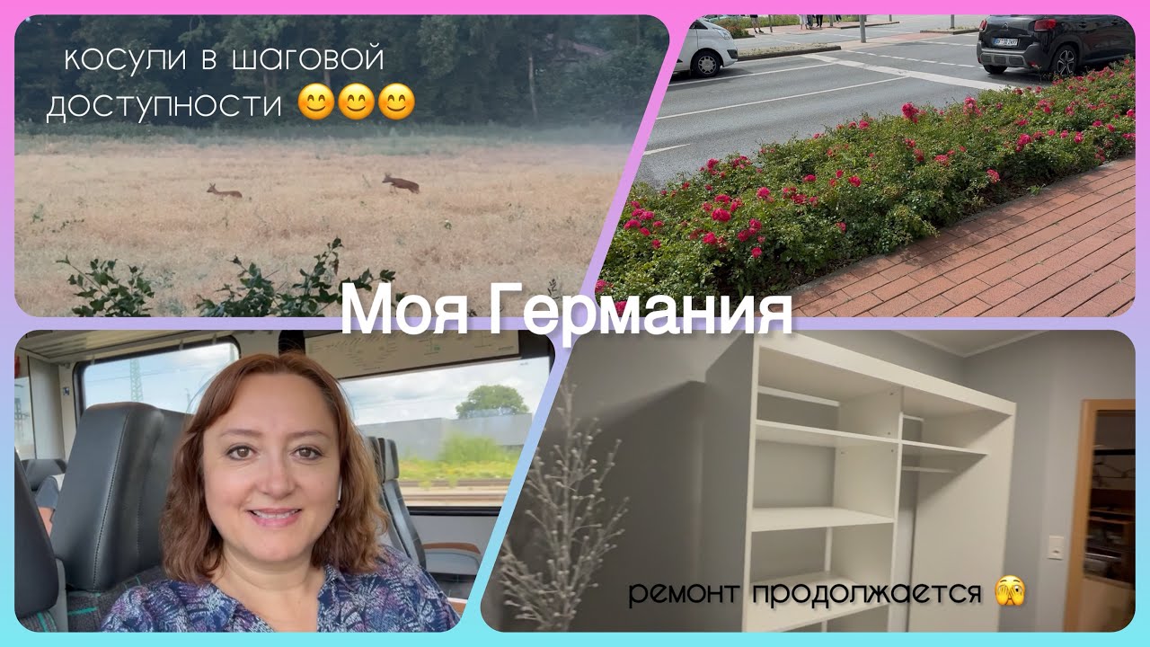 косули порадовали😁/ наконец-то собираем шкаф, ремонт продолжается/ 😊/ расхламление 🫣/ моя Германия 
