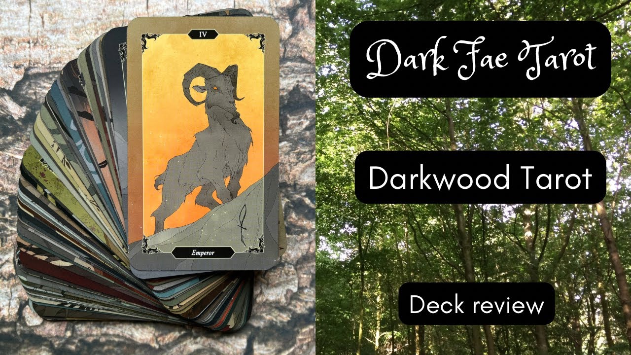 Deck reviews | One month with the Dark Wood Tarot