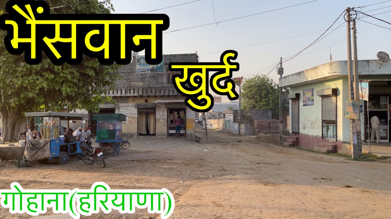 BHAINSWAN KHURD भैंसवान खुर्द Bhainswan Khurd Gohana Bhainswan Khurd Ki Video #bhainswankhurd