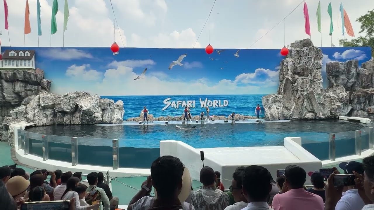 Dolphin show Bangkok Safari world
