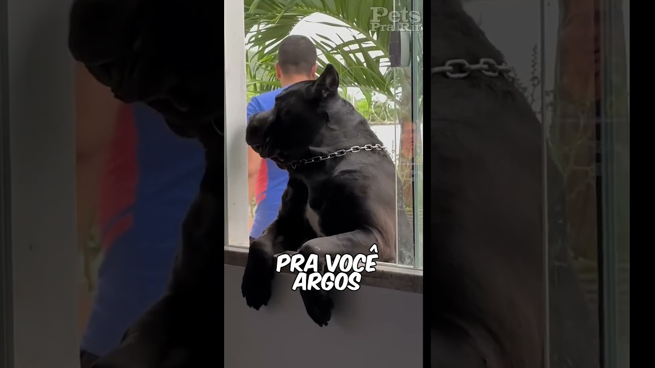 Um neném grande😂😂❤️