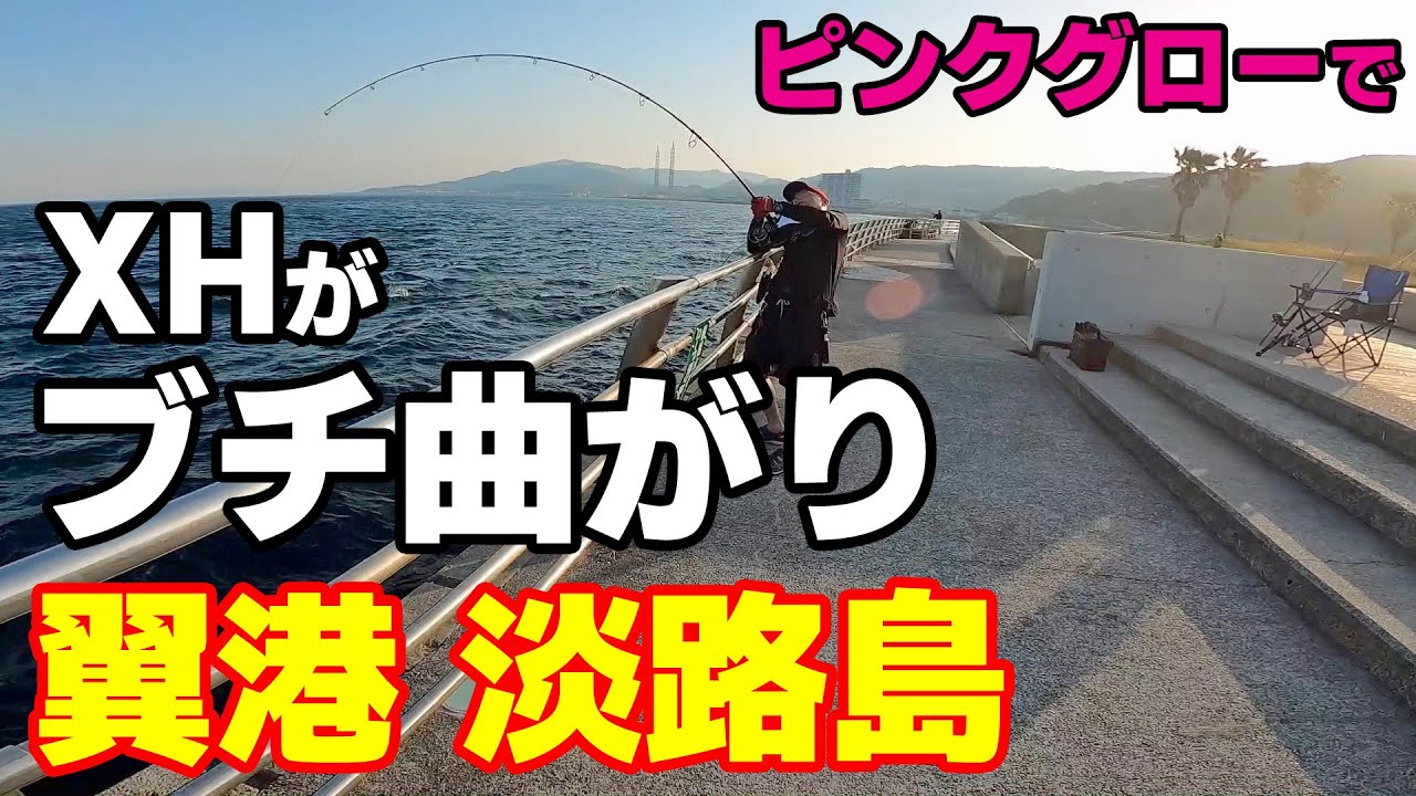 翼港でショアジギング ブリ（青物）獲った 淡路島の釣り
