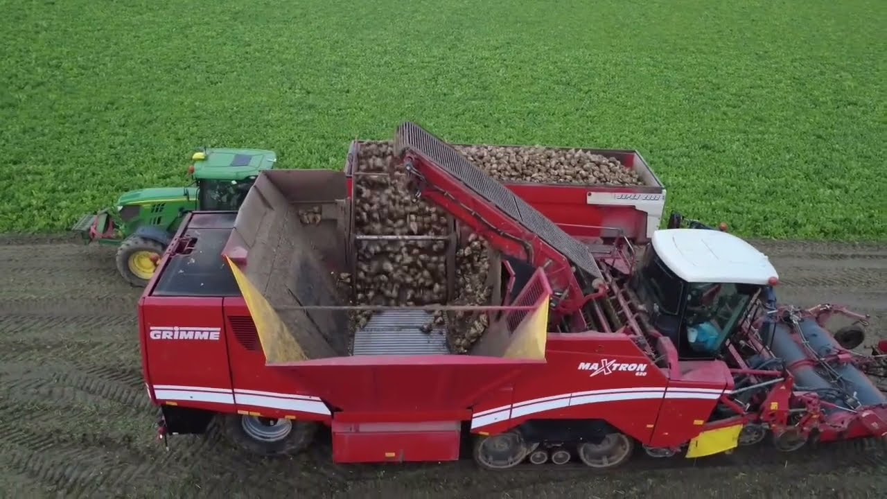Suikerbieten oogst met de Grimme Maxtron 620