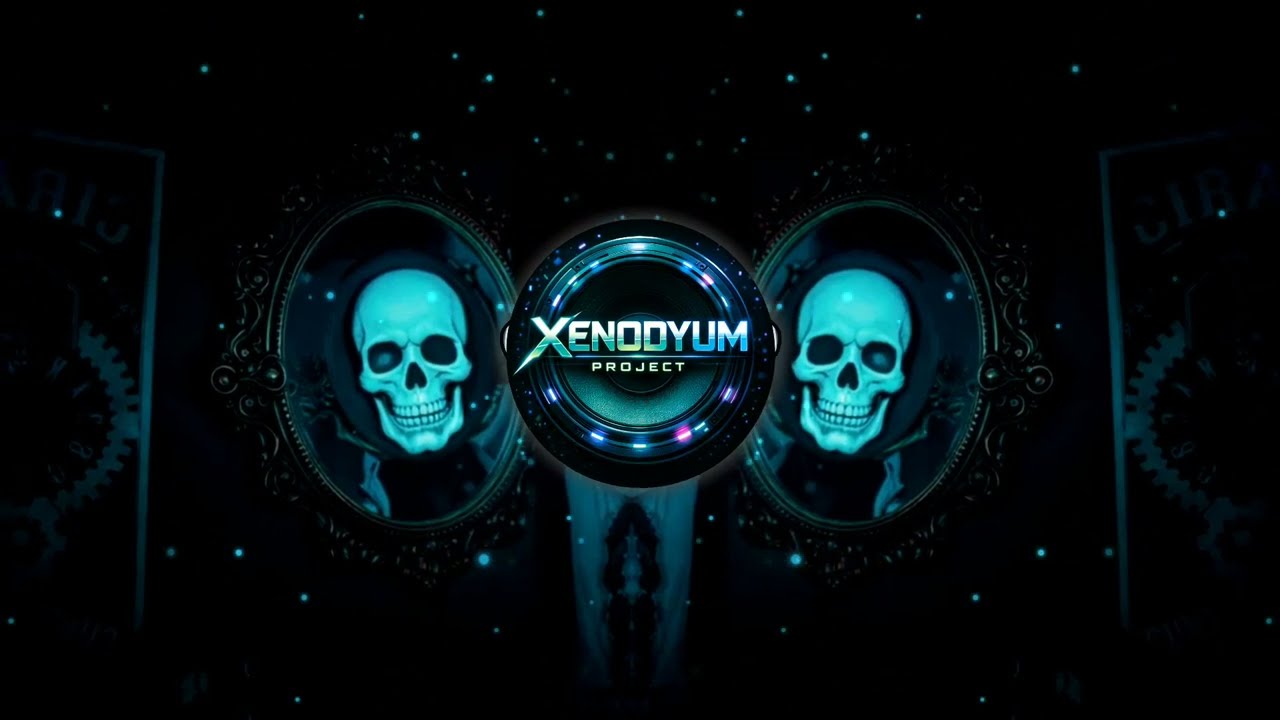 XENODYUM Project - Stitched