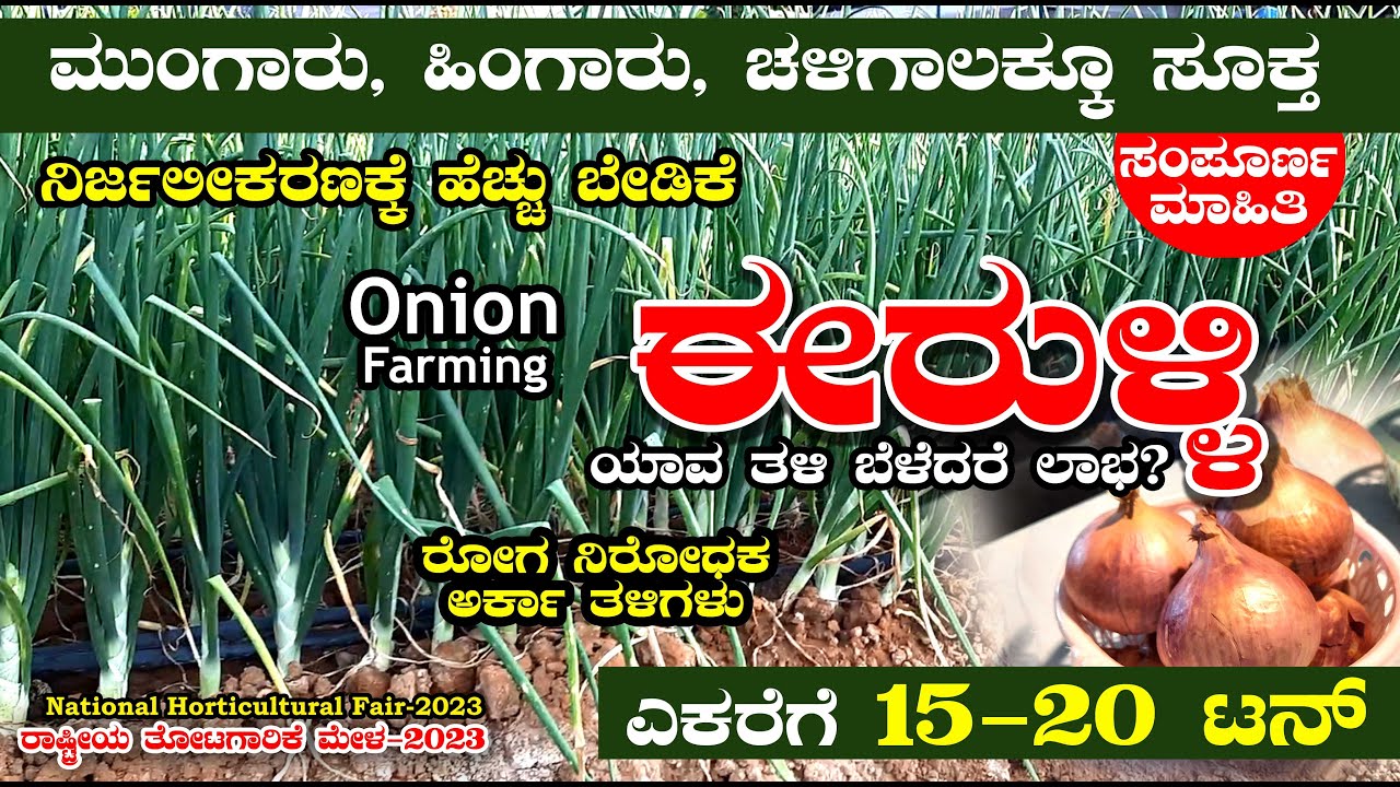 ಈರುಳ್ಳಿ ಕೃಷಿ | ಉಳ್ಳಾಗಡ್ಡಿ | Onion Farming | ರಾಷ್ಟ್ರೀಯ ತೋಟಗಾರಿಕೆ ಮೇಳ | National Horticultural Fair