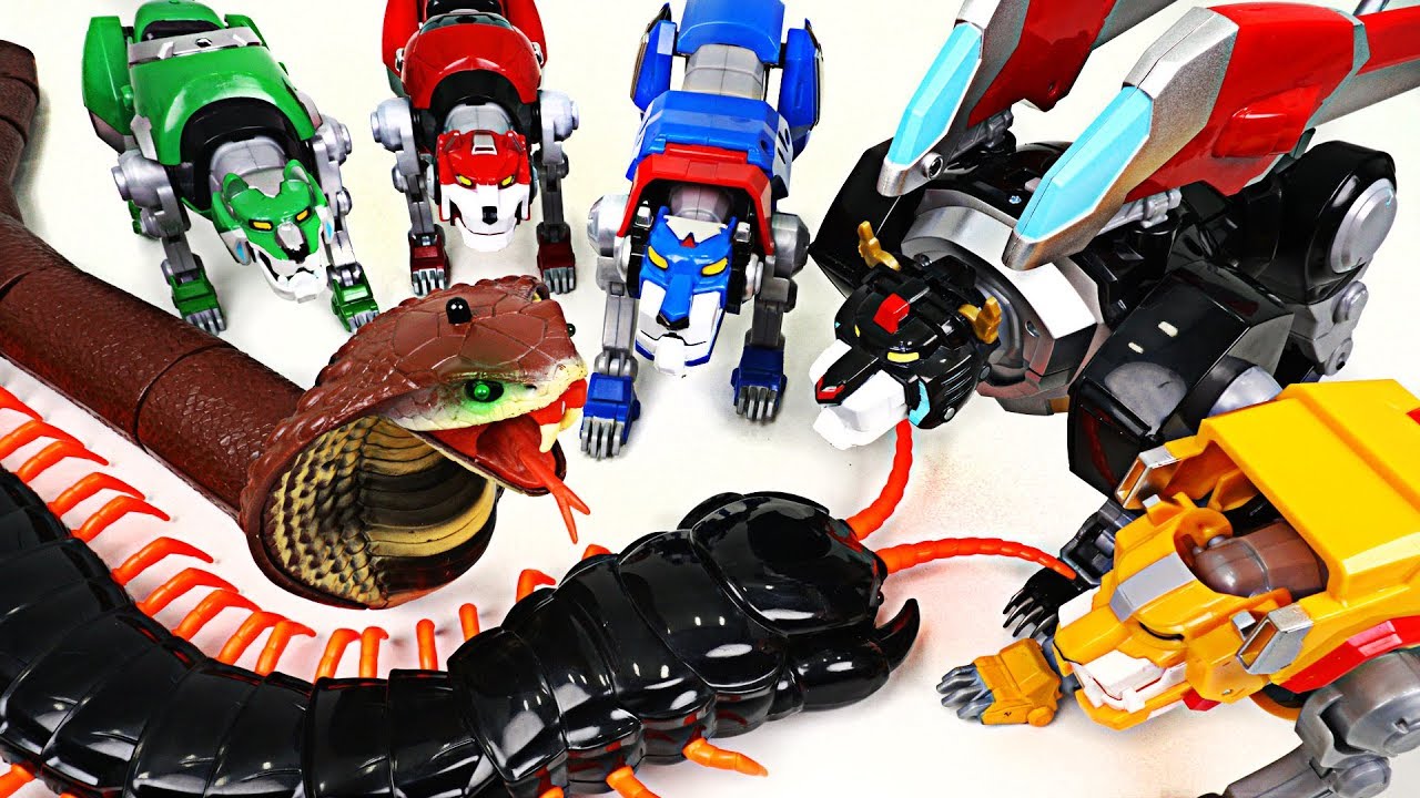 Giant Cobra and insect appeared! Voltron Legendary Defender! Save the Lion Guard! - DuDuPopTOY