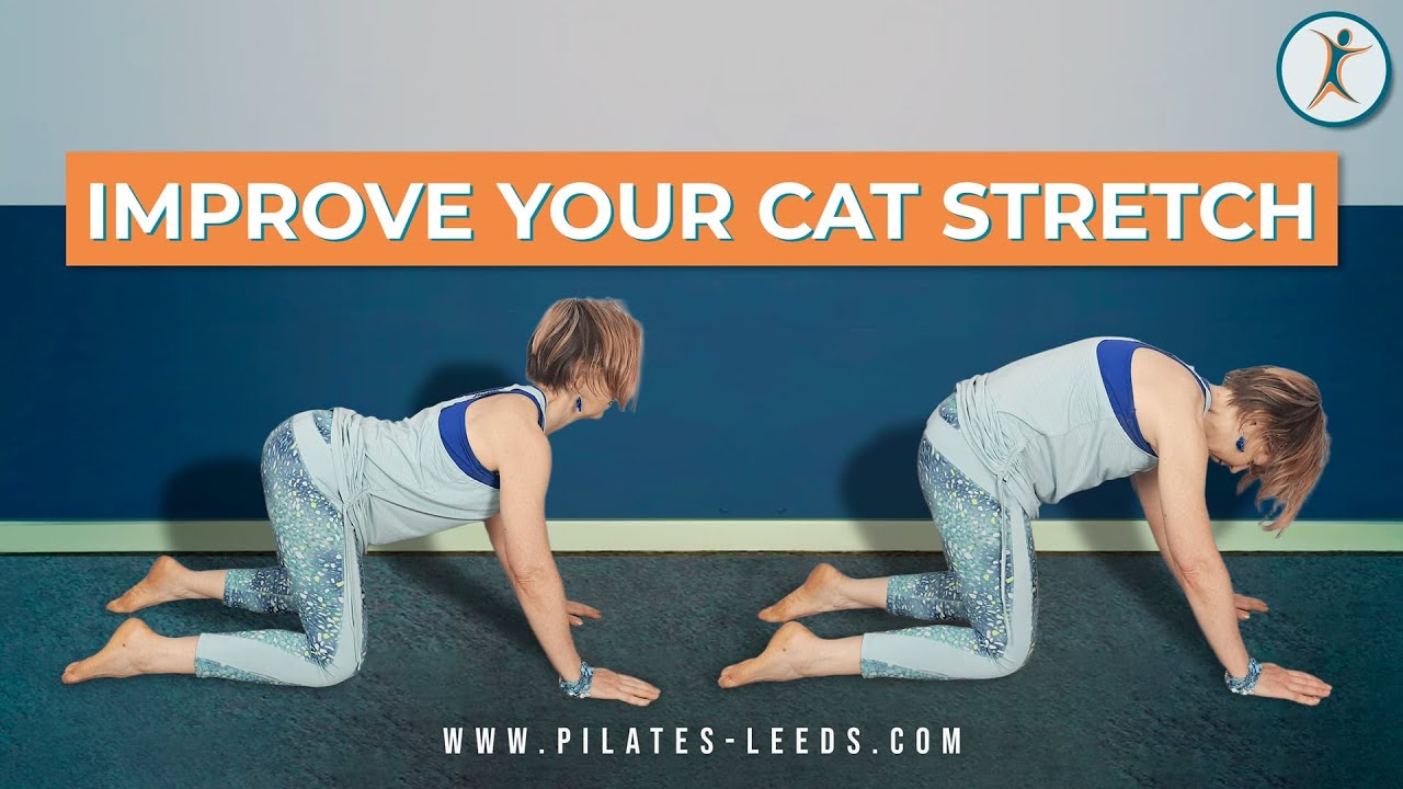 Cat Cow Stretch Made Easy: Proper Setup, Tips & Mistakes to Avoid
