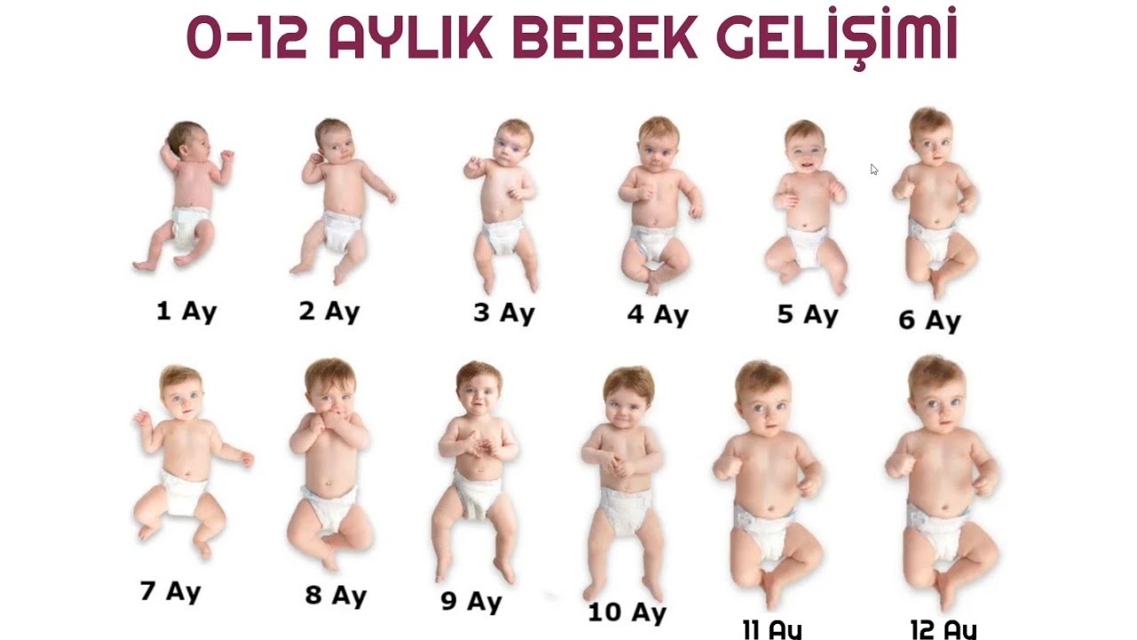 0-12 Aylık Bebek Gelişimi (Dikkat Bebeğiniz Gelişiyor!!!)
