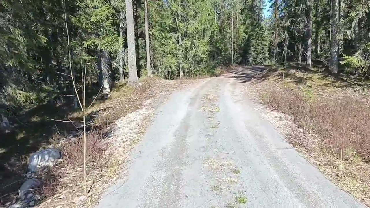 Жизнь как ЕСТЬ