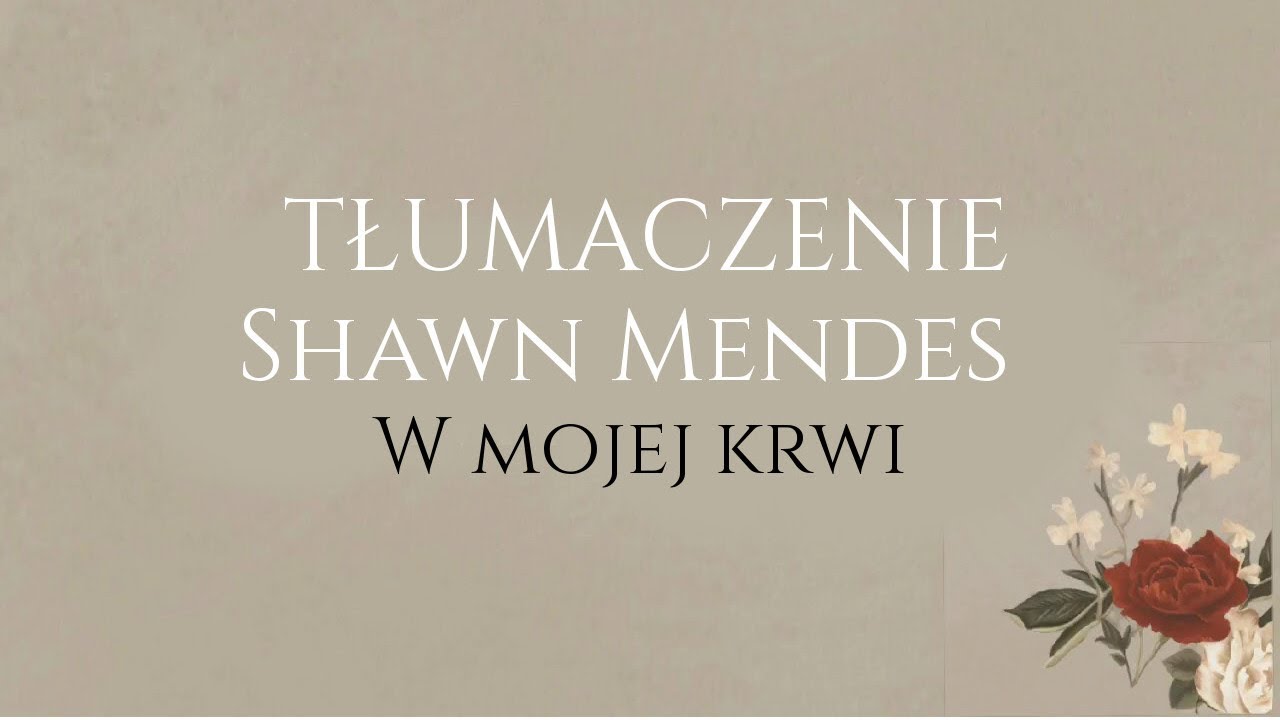Shawn Mendes - In my blood TŁUMACZENIE