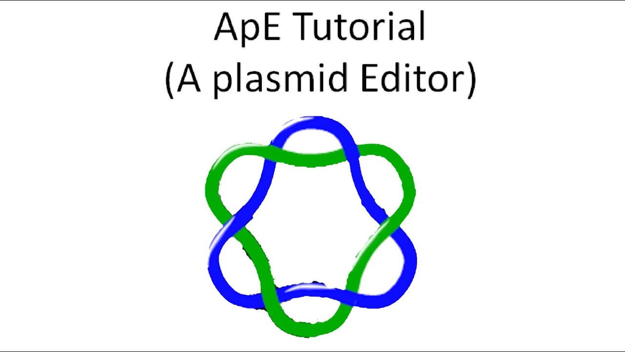 ApE Tutorial Part 2: Restriction Endonuclease Selection and Plasmid Map