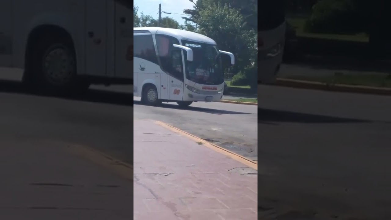 LUMASA 96