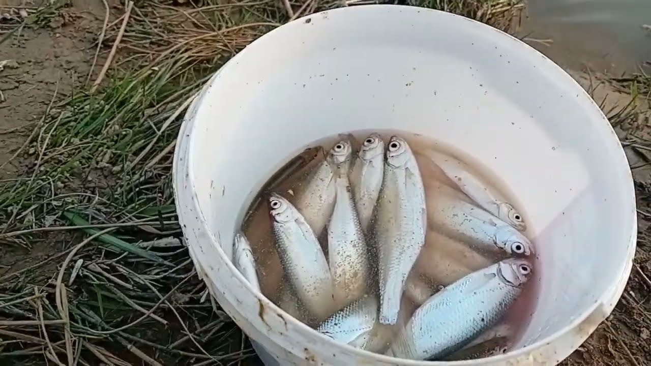 Pescuit la oblete , relaxare în apus de soare