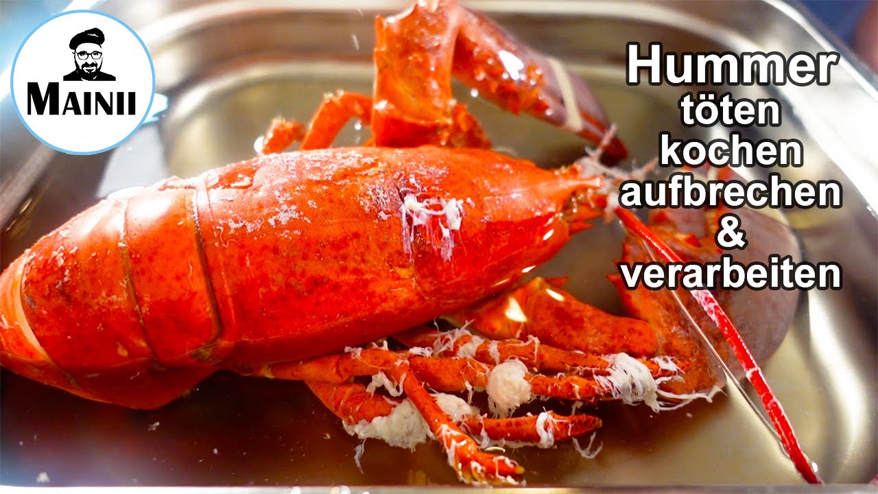 Hummer richtig t&ouml;ten, kochen & zerlegen | Fachgerechte Zubereitung & Kochausbildung