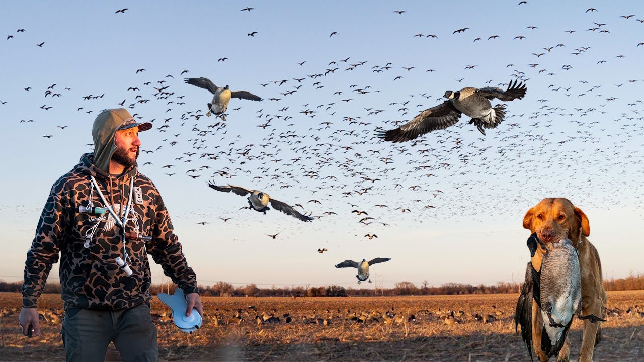 I HAVE KILLED 1,000'S OF BIRDS THIS SEASON BUT FINALLY IT HAPPENED..