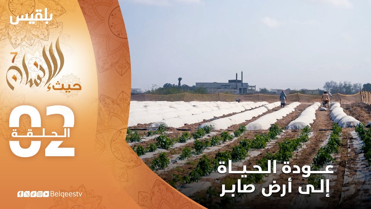 حيث الإنسان7 | مؤسسة توكل كرمان تعيد الحياة لمزرعة في لحج وتحيي أمل مالكيها | الحلقة الثانية