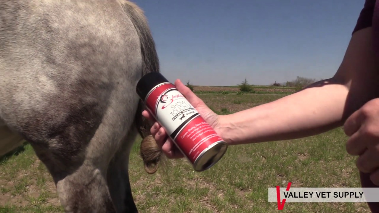 Show Touch Up Spray