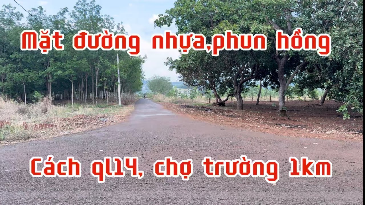 Bán đất mặt đường nhựa giá rẻ 25 triệu/m tổng 30m .bù đăng,bình Phước,đồng Nai.lh 0867048379