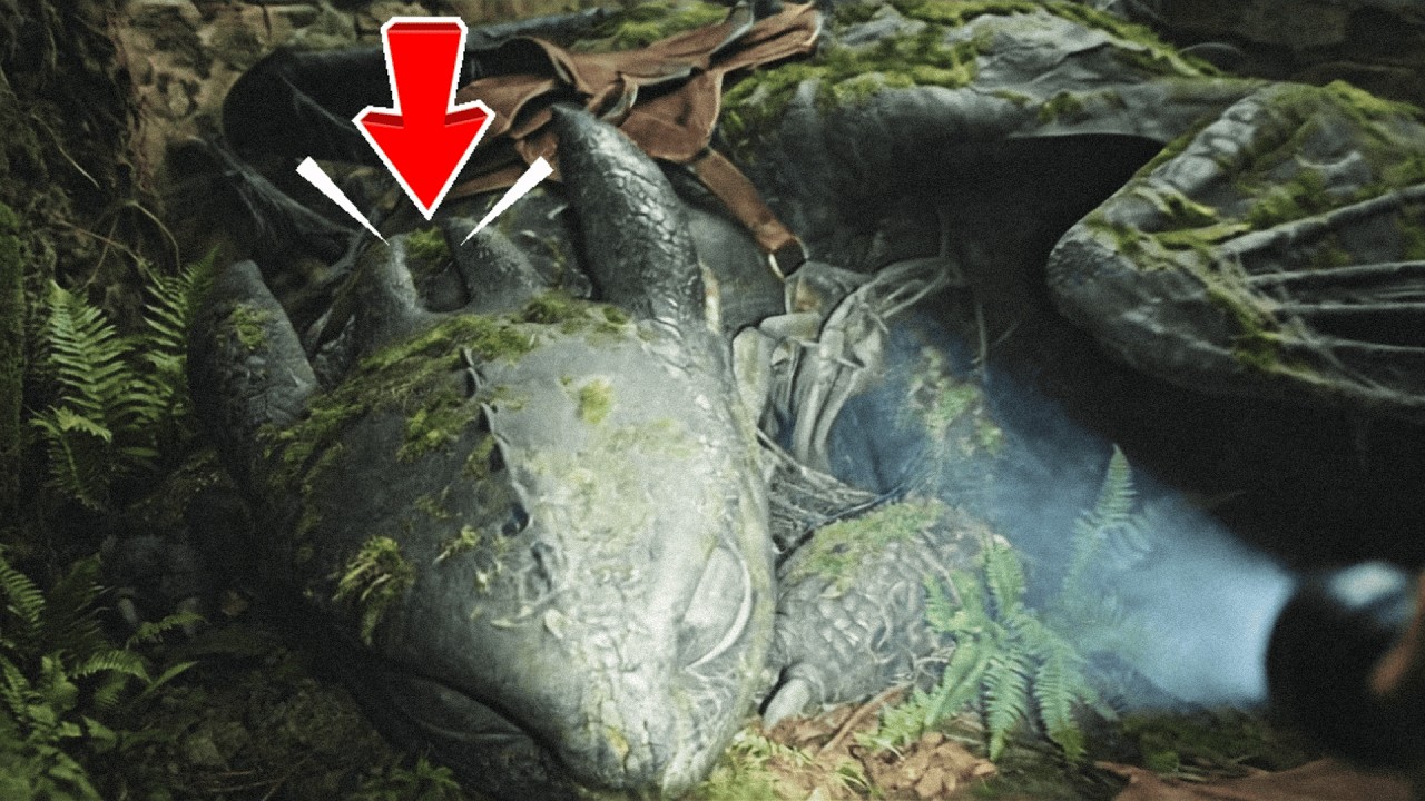 I FOUND Toothless and Friend ABANDONED in VIKING Vilage
