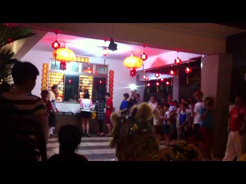 LION DANCE CAI QING CEREMONY