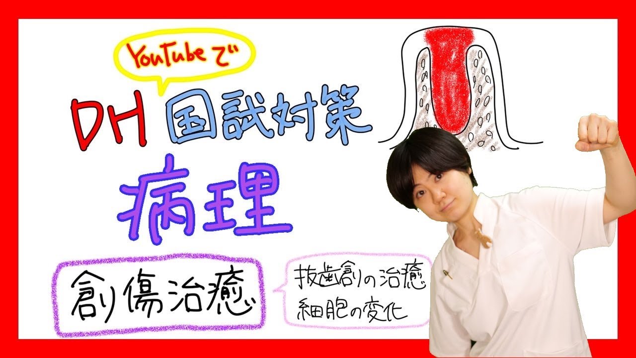 【薬理】DH国試対策【2022年 No.9】【病理、創傷治癒】