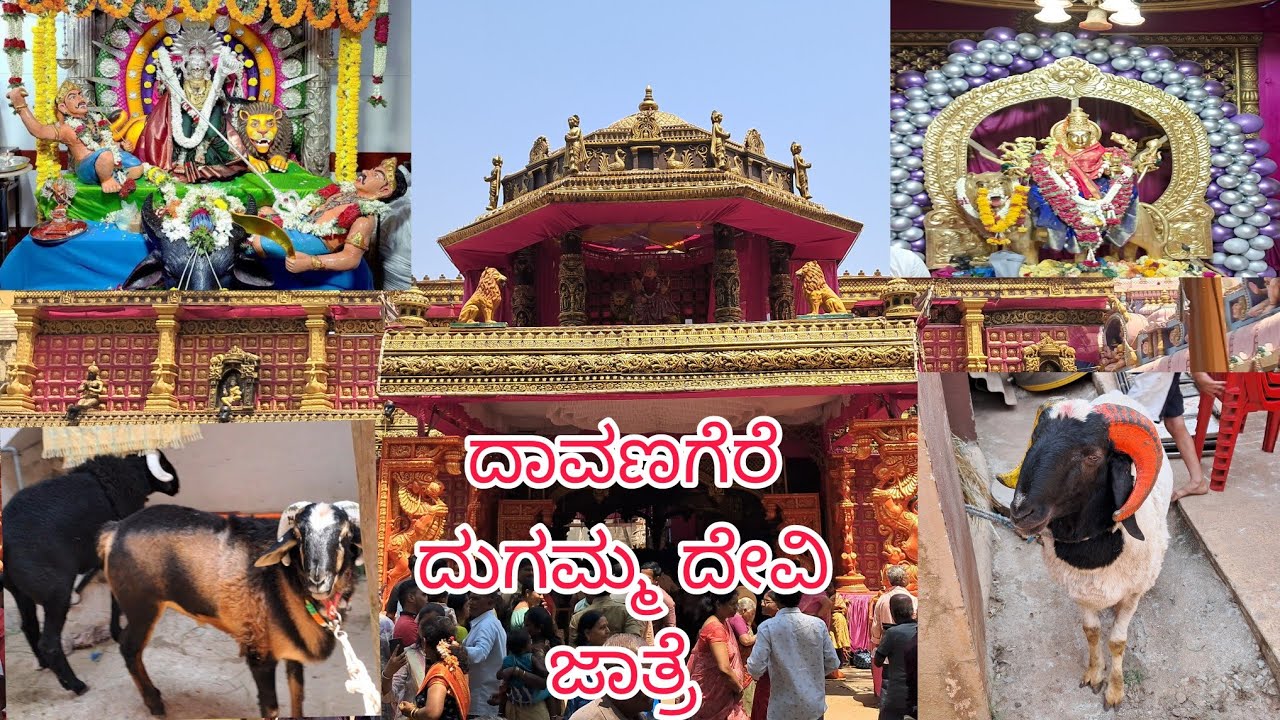 ದಾವಣಗೆರೆ ದುಗ್ಗಮ್ಮ ದೇವಿ ಜಾತ್ರಾ ಮಹೋತ್ಸವ 🙏🙏❤️
