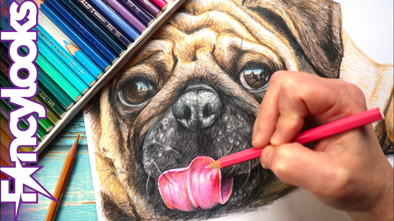Cómo dibujar un perrito: boceto y coloreado a lápices de colores-paso a paso