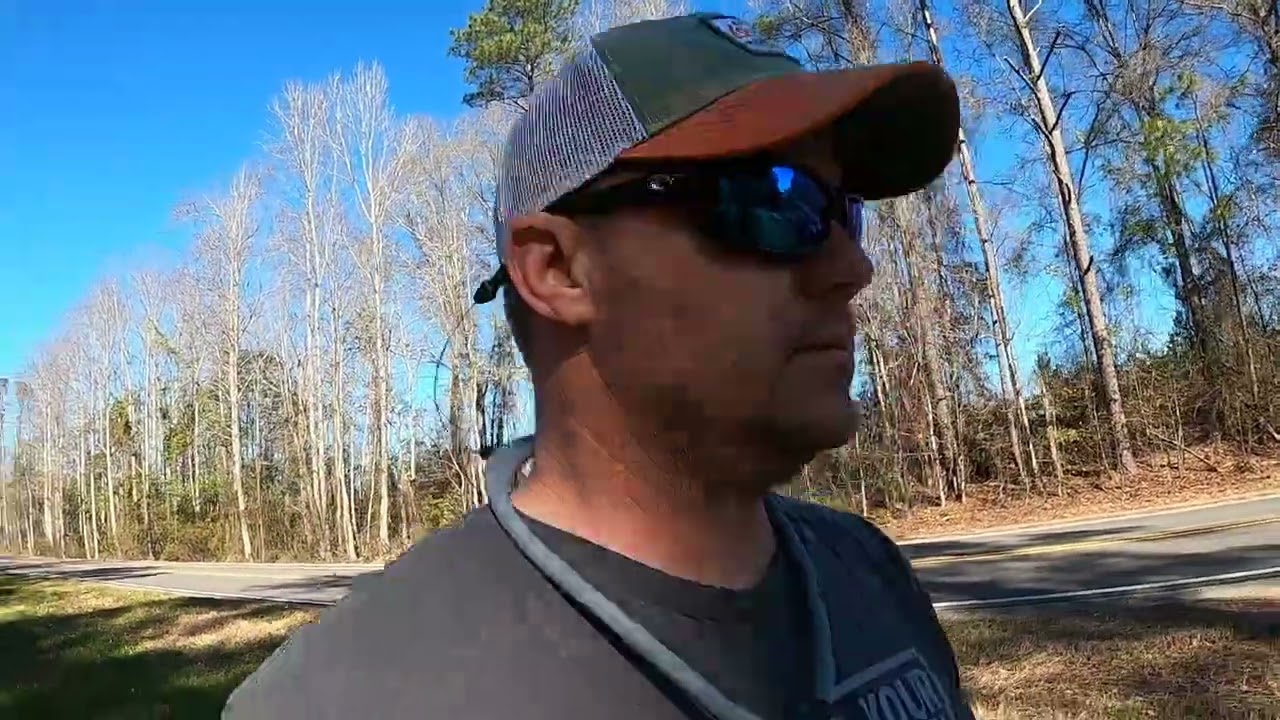 Taking Out Giant Azaleas #tractorvideo #landscaping