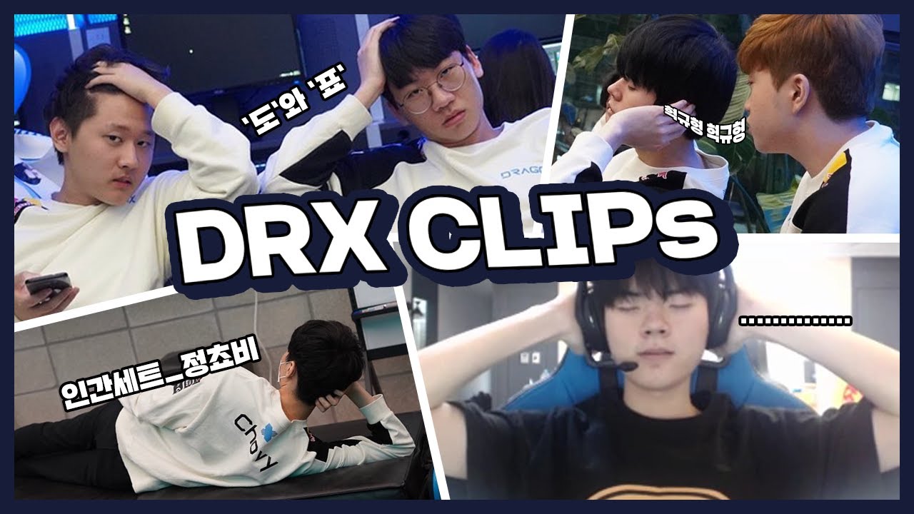 DRX CLIPs | 도표, 인간 세트, 오랑우탄 그리고 알파카 (팬메이드)