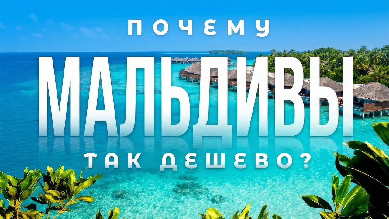 МАЛЬДИВЫ 2026: бюджетный отдых на локальном острове или резорте?🏝️ Дигура дикарем: акулы, цены, риф