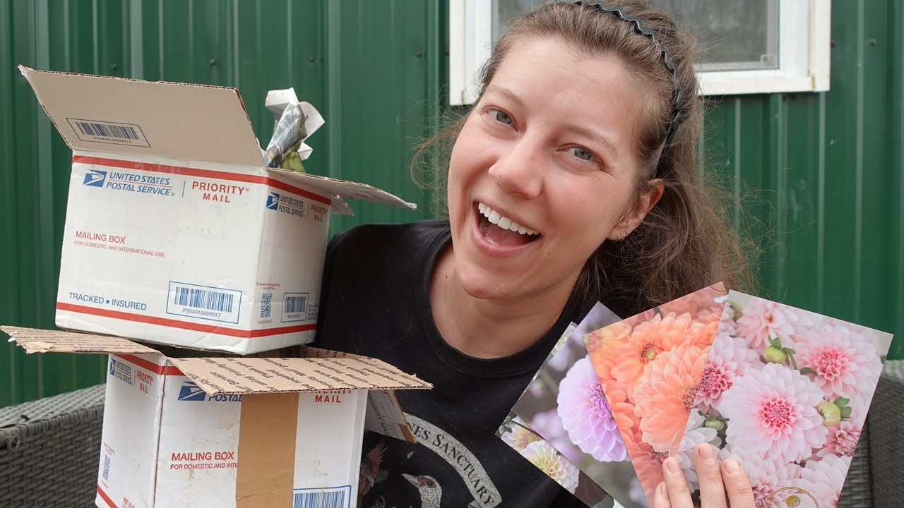 River Merle Farm, Connell's Dahlias, and Dahlia Flowers In Bloom Tuber Haul 2025! | Wild Pines Farm