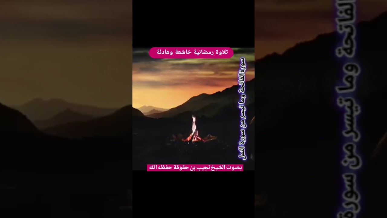 14 مارس 2026