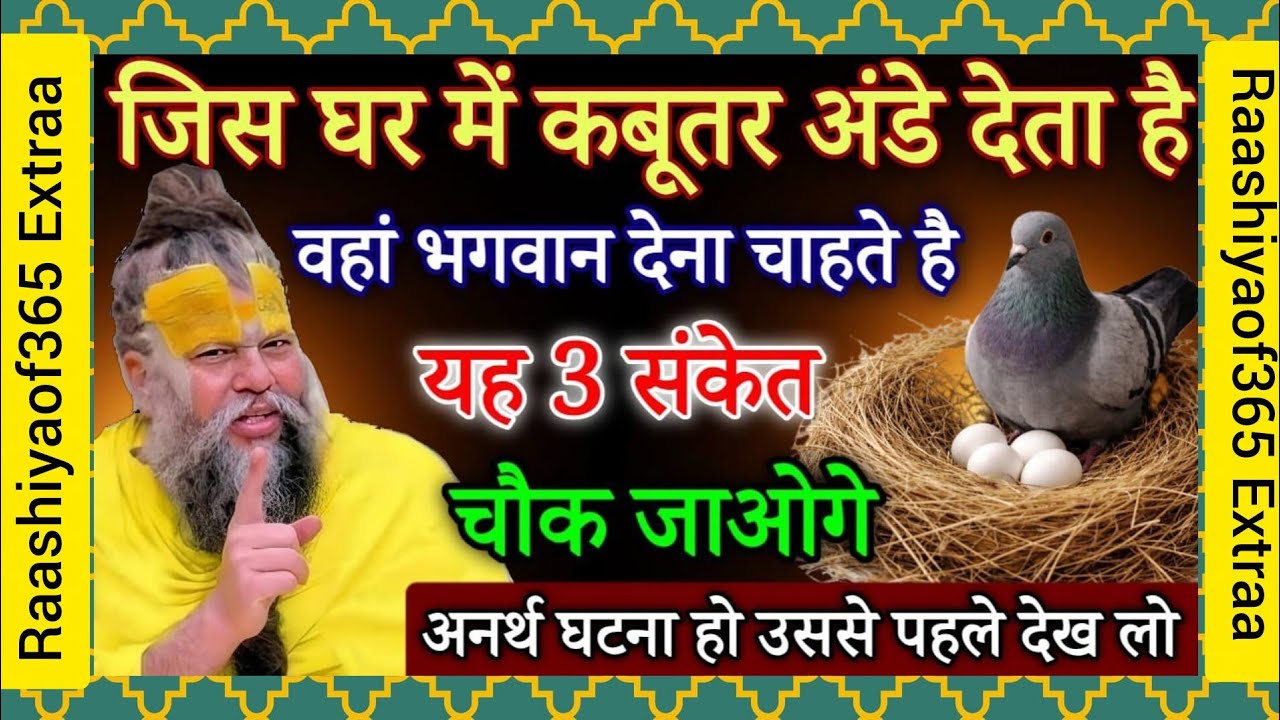 जिस घर मे कबूतर अंडे देता है वहां भगवान देना चाहते हैं यह 3 संकेत, जानकार चौक जाओगे#premandjimaharaj