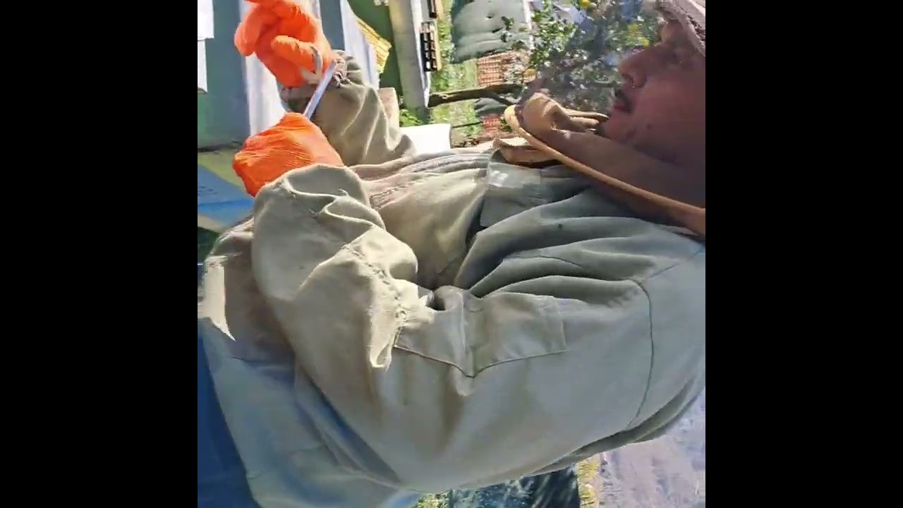 Apicoltura 16/02/2025: Trattamento Sanitario, e preparazione per il raccolto.#honey #beekeeper