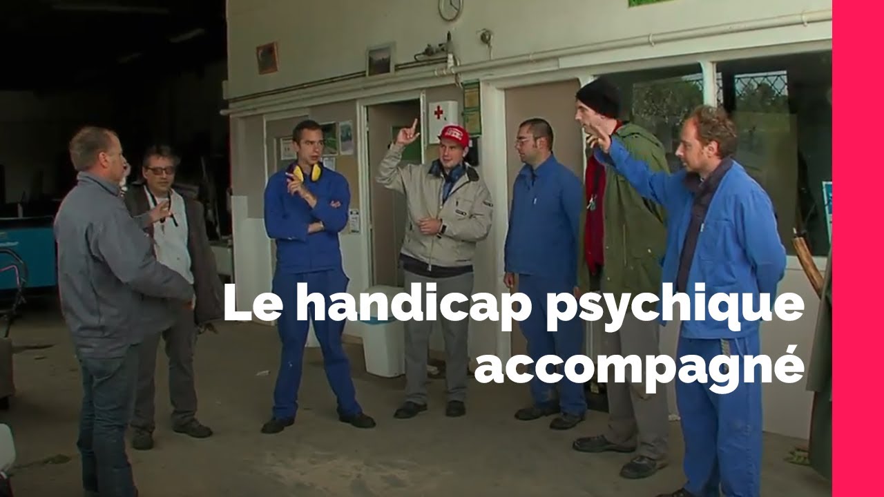 Le handicap psychique, l’importance de l’accompagnement