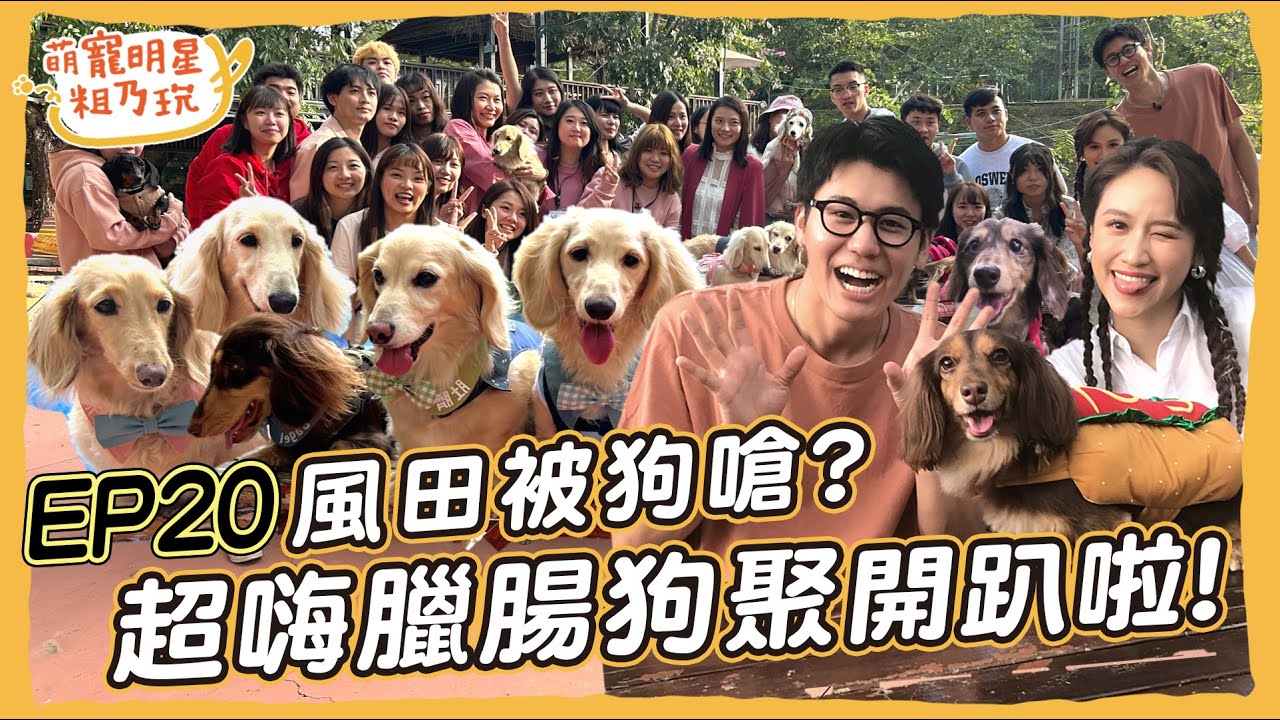[SUB]EP20 臘腸狗聚 開趴啦！ Sandy 風田 呵喜 與23位狗朋友的超嗨同樂會【 萌寵明星粗乃玩 】