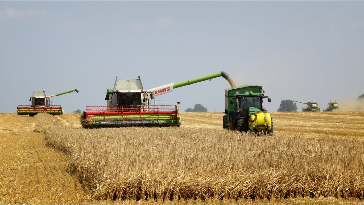 Big Team 6x Claas Evion, Lexion 660, 6700 Summer Harvest 2023