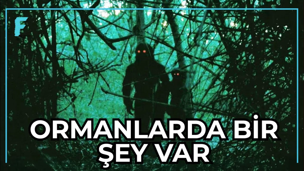 Sonsuza Kadar Unutamayacağınız Tüyler Ürpertici Kayboluşlar