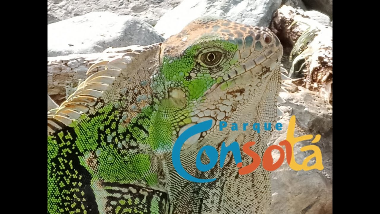 Parque Consotá , una experiencia verde y de recreación