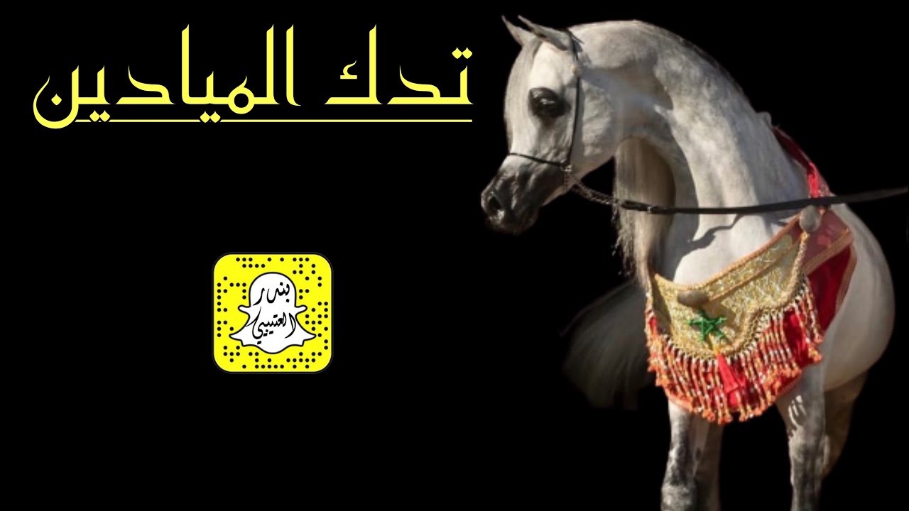 تدك الميادين كلمات عريب العتيبي اداء عبدالله الفريدي 2024 حصرياً