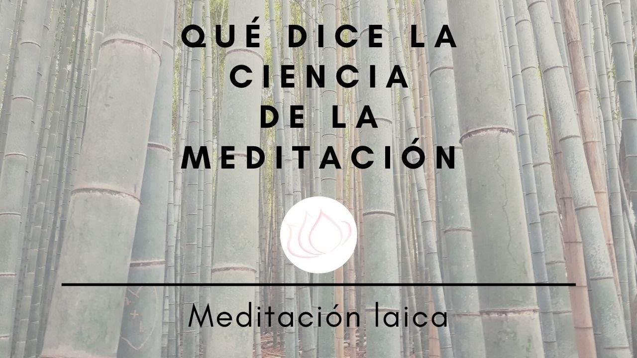 Qué dice la ciencia sobre la meditación