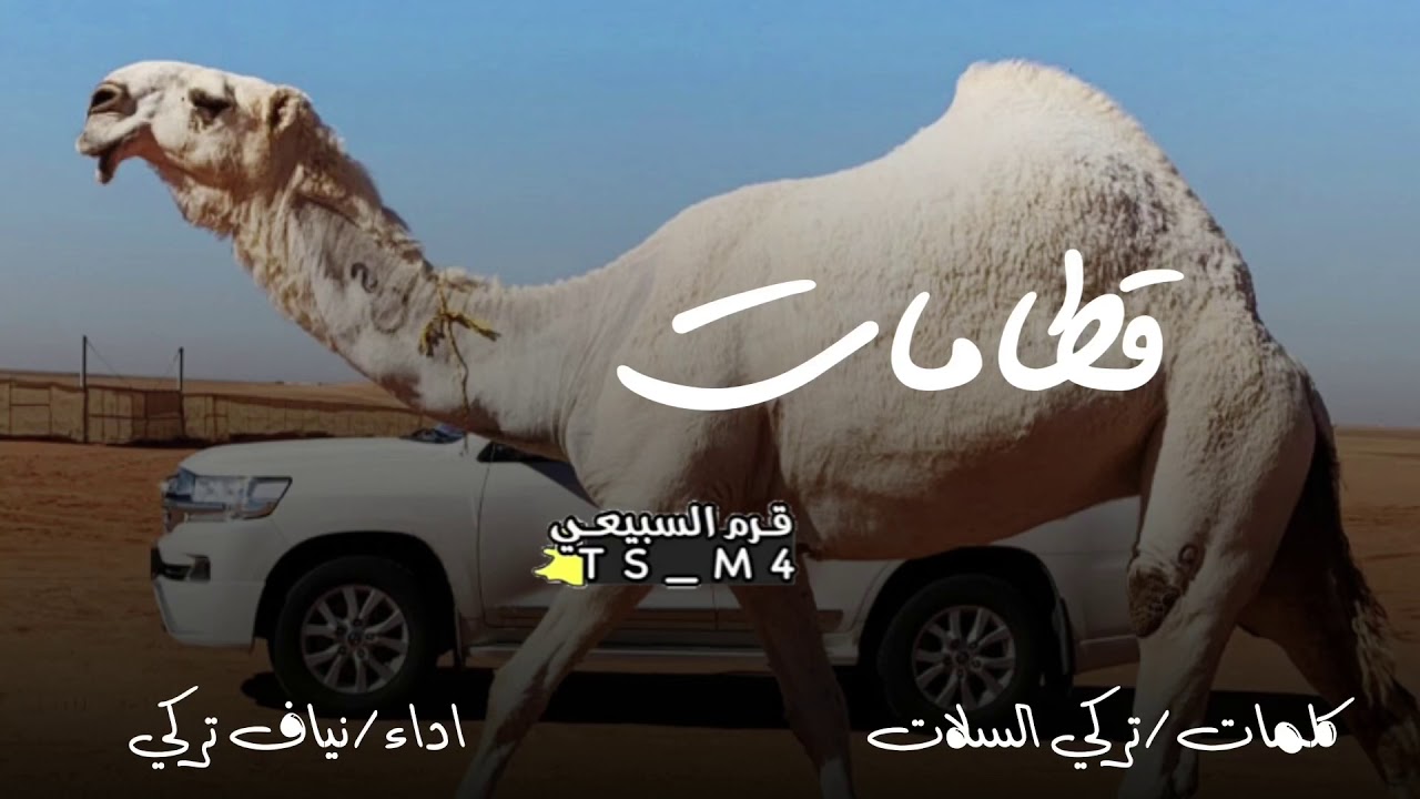 #قطامات كلمات تركي السلات اداء نياف تركي