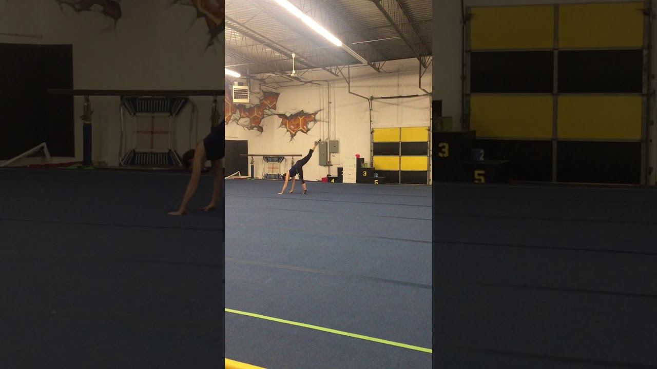 Copper Pink Panther Routine